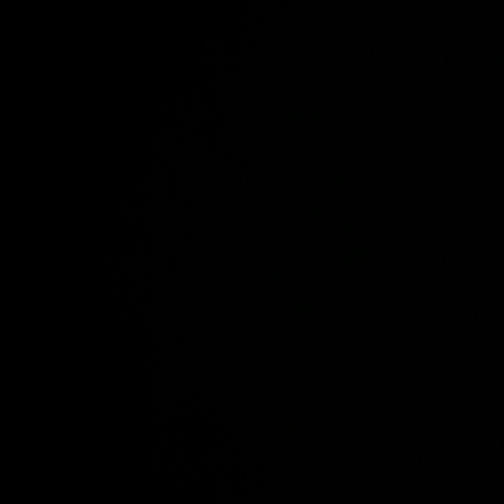 Meet your Posher, Prescilla